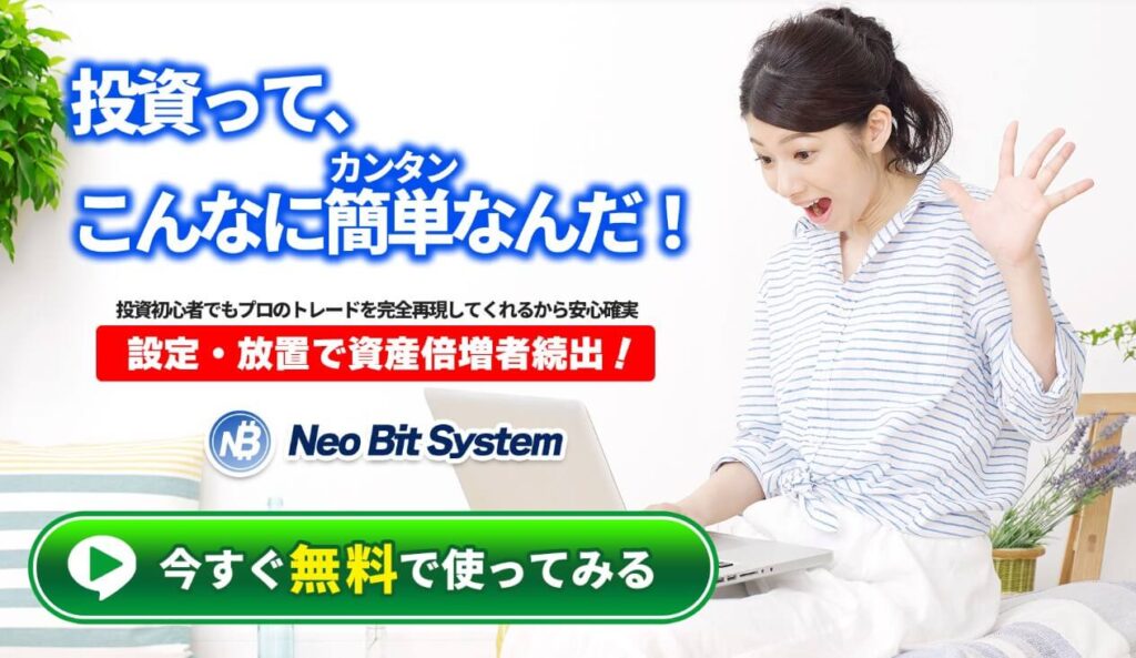 ネオビットシステム(NEO BIT SYSTEM)内容